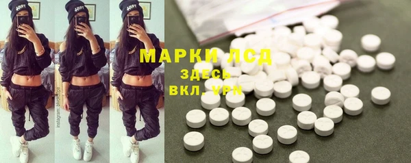 шишки Арсеньев