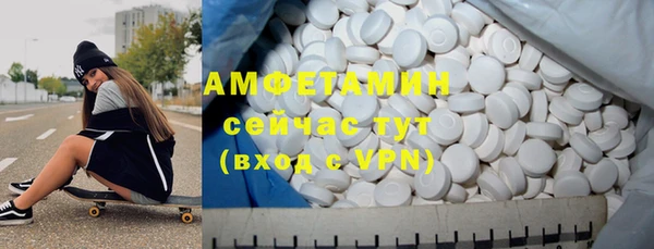 шишки Арсеньев