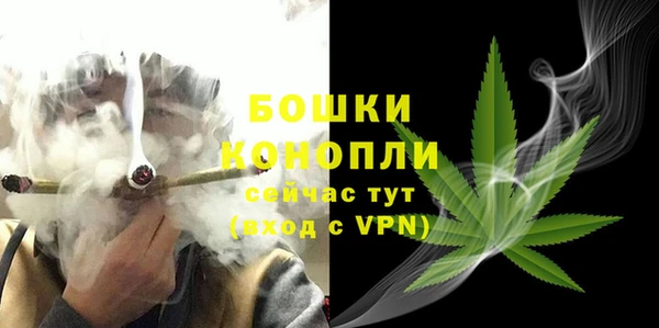 трава Аркадак