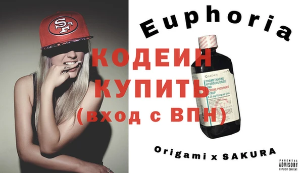 шишки Арсеньев