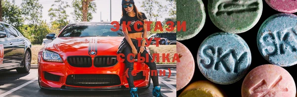 шишки Арсеньев