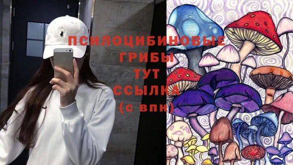 шишки Арсеньев