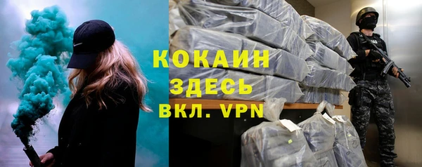 шишки Арсеньев