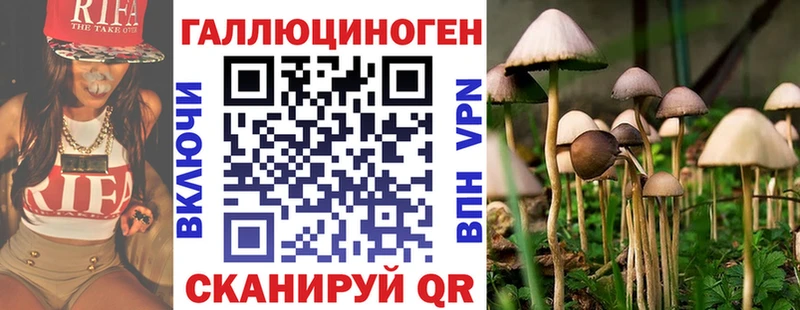 купить наркотики сайты  Рыбное  Псилоцибиновые грибы Magic Shrooms 